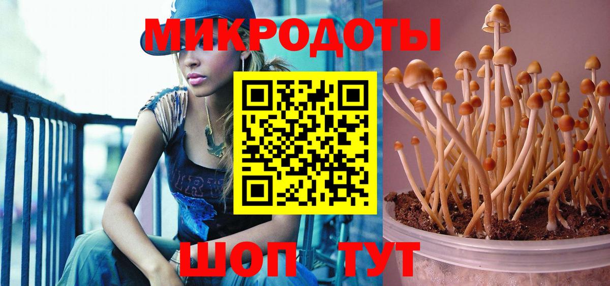 Псилоцибиновые грибы Psilocybe  Галлюциногенные грибы Cubensis  купить наркотики сайты  Шелехов  Вход с VPN 